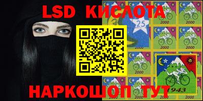 индика Кандалакша