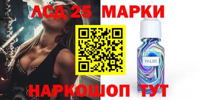 индика Кандалакша
