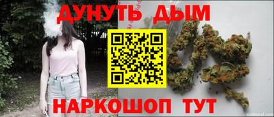 индика Кандалакша