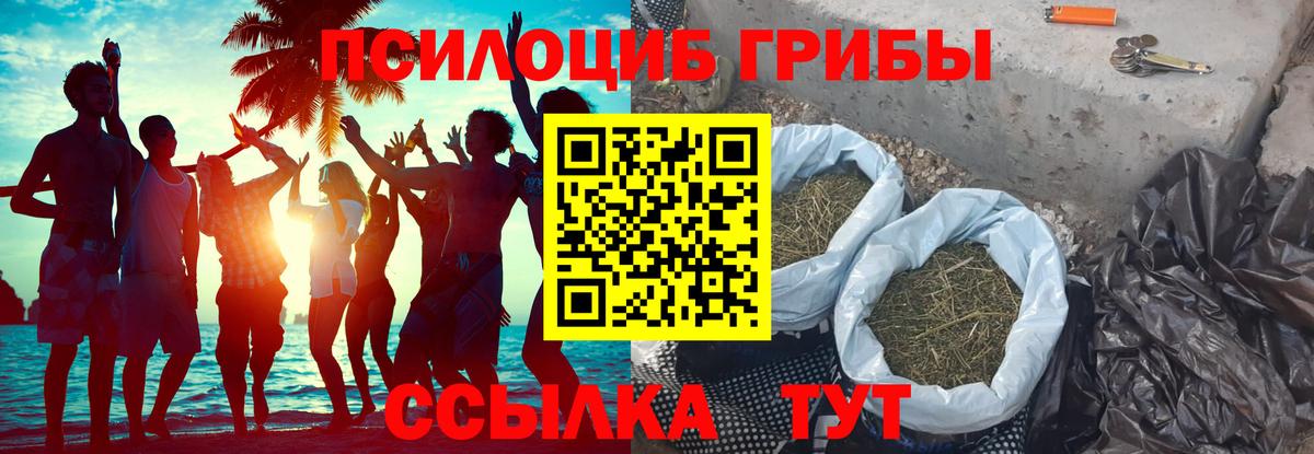 Псилоцибиновые грибы Psilocybe  Вход с VPN  Галлюциногенные грибы Psilocybe  Благовещенск 