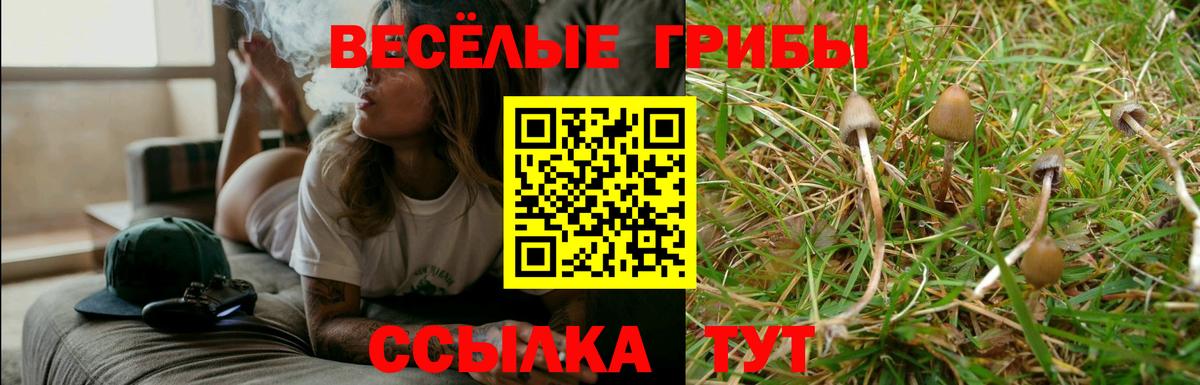 Галлюциногенные грибы Cubensis Благовещенск